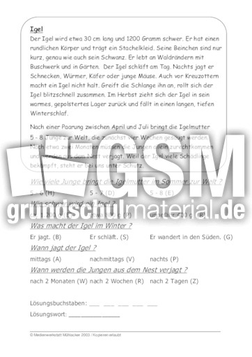 Igel.pdf